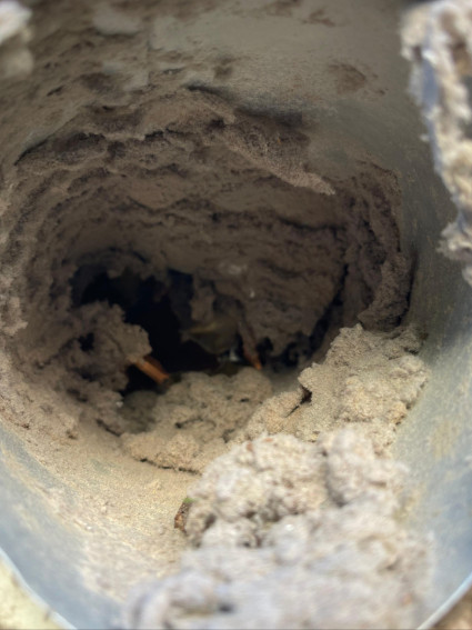 contact about dryer vent cleaning in la jolla air duct cleaning in la jolla contact about dryer vent cleaning in la jolla air duct cleaning in la jolla